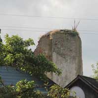 Клецк. Парэшткi фарнага касцёла (Касцёла Святой Тройцы) Сучасны стан. Фота - Uladzimir Sadouski 2017г