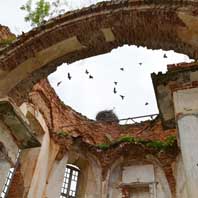 Ануфрыева (вёска Сялец, Мсцiслаўскага раёна). Выява iнтэр'ераў былой саборнай Ануфрыеўскай царквы базылiянскага манастыра. Сучасны стан. Фота - Nadezhda Jakusheva